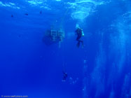  /  / Molokini, Dezember 22, 2005 (1/80 sec at f / 5,6, 5.7 mm)