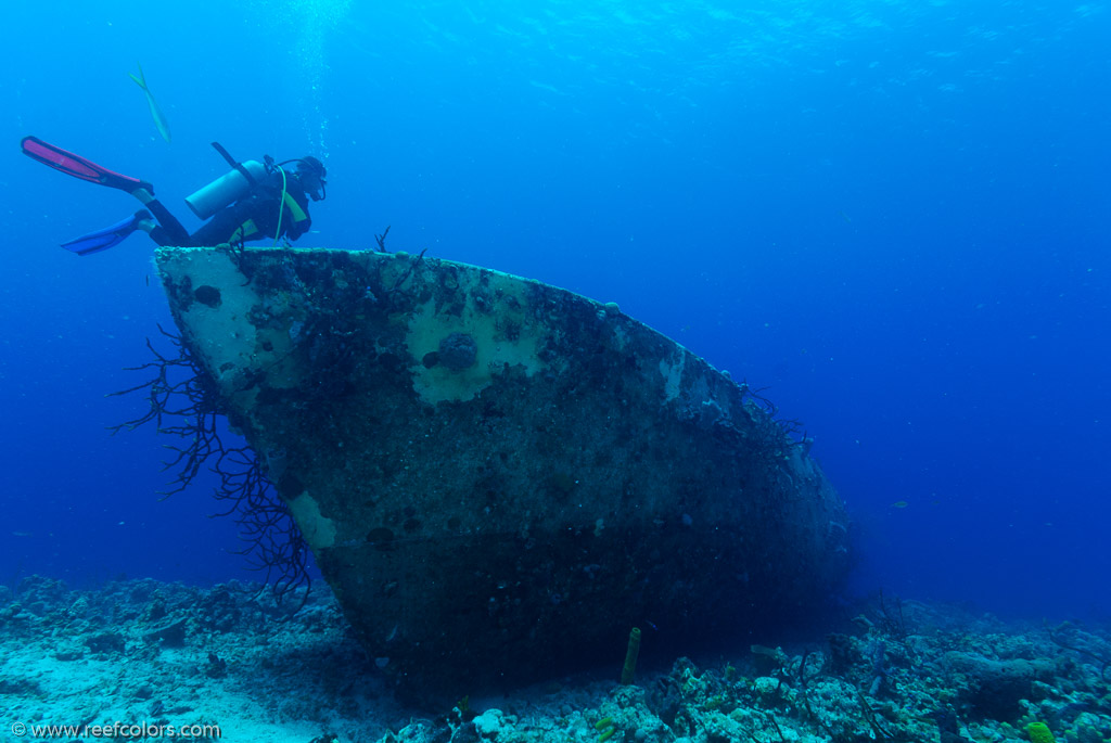 El Coral, Bahia de Cochinos, Cuba;  1/80 sec at f / 9,0, 10 mm