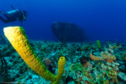 El Coral, Bahia de Cochinos, Cuba;  1/80 sec at f / 9,0, 10 mm