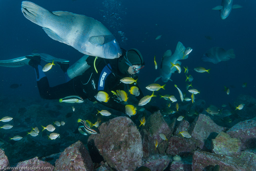 Fish Rock , New South Wales, Australia;  1/125 sec at f / 5,6, 20 mm