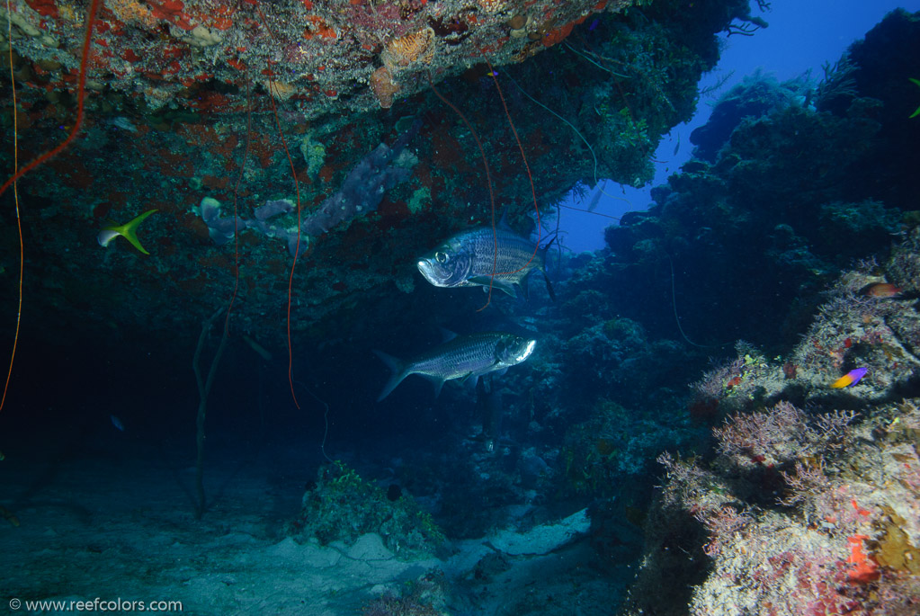 Five Seas, Ciego de Avila, Cuba;  1/125 sec at f / 6,3, 19 mm