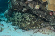 Bommie, Queensland, Australia;  1/200 sec at f / 9,0, 17 mm