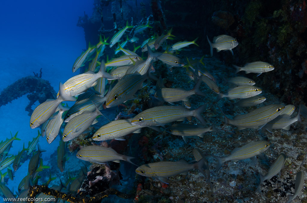 Fragata Russa, Matanzas, Cuba;  1/160 sec at f / 11, 17 mm