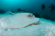 North Bommie, Queensland, Australia;  1/200 sec at f / 8,0, 10 mm